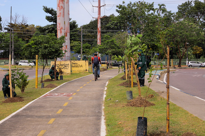 Prefeitura de Manaus realiza o plantio de 230 mudas de plantas nesta sexta-feira